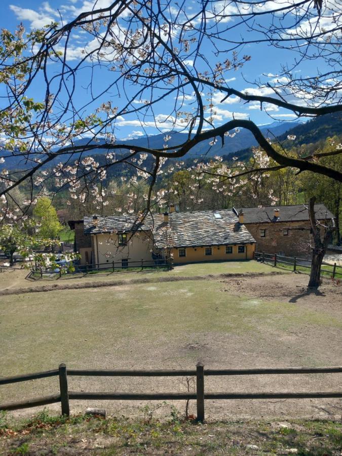 Country House Le Gaie Allegre Villar San Costanzo Luaran gambar